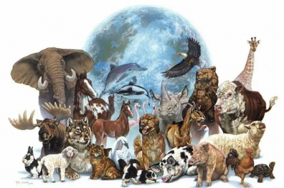 Неизвестная болезнь угрожает уничтожением морских ежей по всему миру